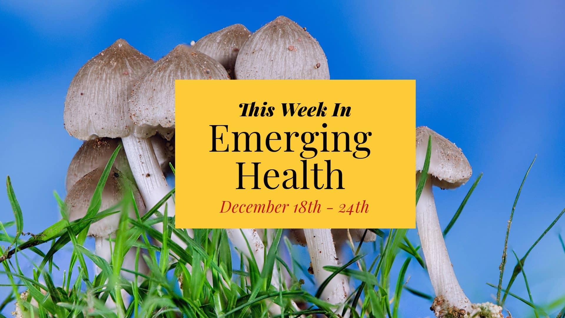 The Weekly Health Roundup: December 24, 2023